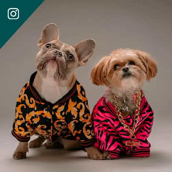 instagram post image